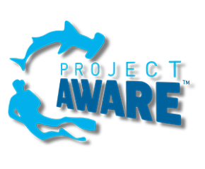 project-aware