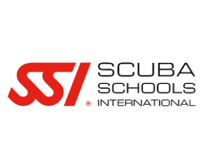ssi-logo