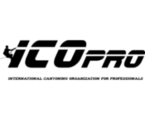 ico-pro-logo
